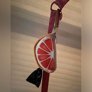 Grapefruit Slice Doggy Waste Bag Dispenser